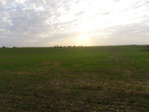 Campo en venta en Uruguay, Campo agricola en Carmelo, Colonia