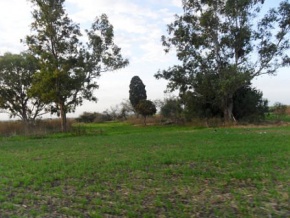 Campo en venta en Uruguay, Campo agricola en Carmelo, Colonia
