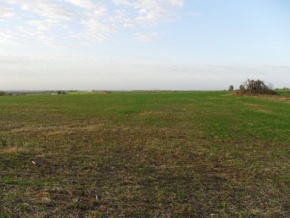 Campo en venta en Uruguay, Campo agricola en Carmelo, Colonia