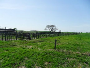 Land for sale in Colonia, Uruguay