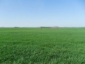 Land for sale in Colonia, Uruguay