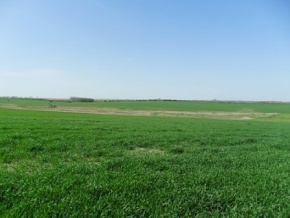 Campo en venta en Uruguay, Campo agricola ganadero en Colonia