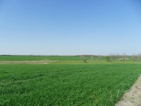 Land for sale in Colonia, Uruguay