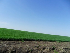 Land for sale in Colonia, Uruguay