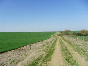 Land for sale in Colonia, Uruguay