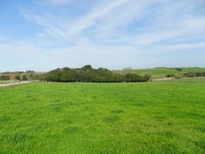 Campo en venta en Uruguay, Campo agricola ganadero en Carmelo, Colonia