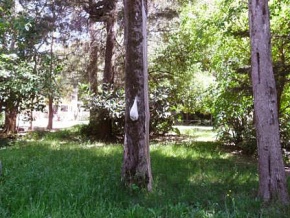 House for sale in Santa Ana (beach zone), Colonia, Uruguay	