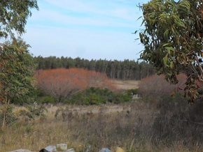 Campo en venta en Uruguay, Campo Agrícola-Ganadero, Canelones