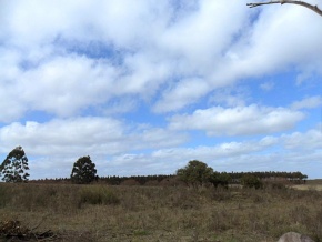 Campo en venta en Uruguay, Campo Agrícola-Ganadero, Canelones