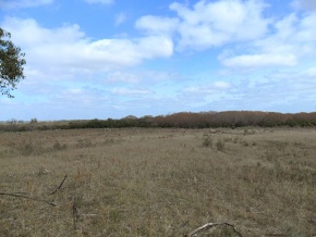 Campo en venta en Uruguay, Campo Agrícola-Ganadero, Canelones