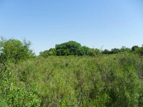 Chacra en venta en Colonia, Uruguay