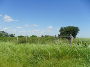 Chacra en venta en Colonia, Uruguay