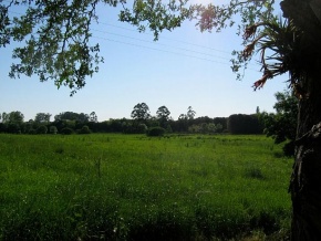 Farm for sale in Rio Negro, Uruguay