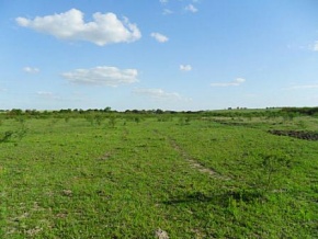 Land for sale in Carmelo (Colonia, Uruguay)