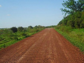 Campo en venta en Uruguay, Campo Agrícola-Ganadero, Carmelo, Colonia