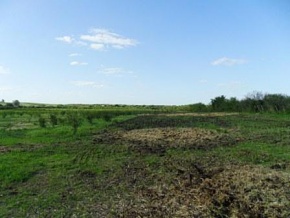 Campo en venta en Uruguay, Campo Agrícola-Ganadero, Carmelo, Colonia