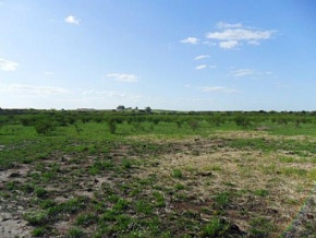 Campo en venta en Uruguay, Campo Agrícola-Ganadero, Carmelo, Colonia