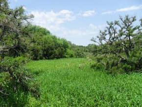 Campo en venta en Uruguay, Campo Turístico, San José