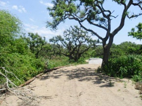 Campo en venta en Uruguay, Campo Turístico, San José