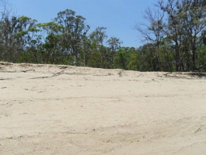 Campo en venta en Uruguay, Campo Turístico, San José