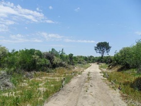 Campo en venta en Uruguay, Campo Turístico, San José