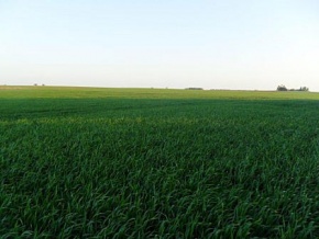 Land for sale in Colonia, Uruguay
