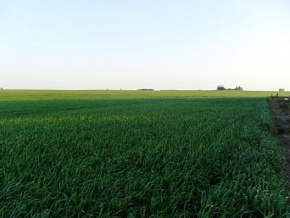 Land for sale in Colonia, Uruguay