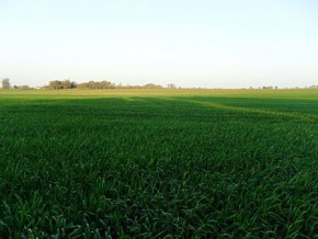 Land for sale in Colonia, Uruguay