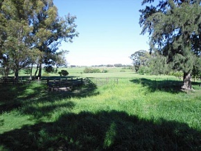 Chacra en venta en Colonia, Uruguay