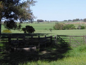 Chacra en venta en Colonia, Uruguay