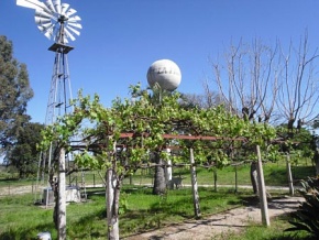 Chacra en venta en Colonia, Uruguay
