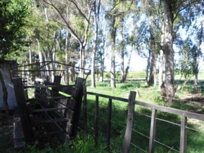 Chacra en venta en Colonia, Uruguay