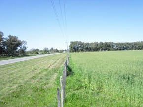 Chacra en venta en Colonia, Uruguay