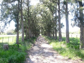 Chacra en venta en Colonia, Uruguay