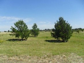 Chacra en venta en Colonia, Uruguay
