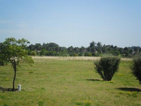 Chacra en venta en Colonia, Uruguay