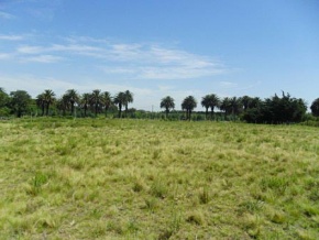 Chacra en venta en Colonia, Uruguay