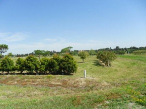 Chacra en venta en Colonia, Uruguay