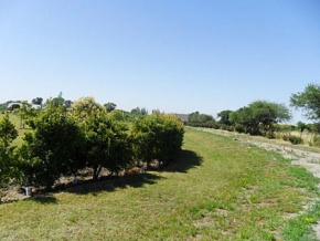 Chacra en venta en Colonia, Uruguay