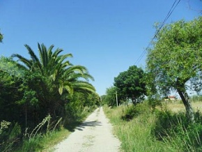 Chacra en venta en Colonia, Uruguay