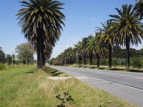 Chacra en venta en Colonia, Uruguay