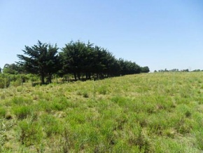 Chacra en venta en Colonia, Uruguay