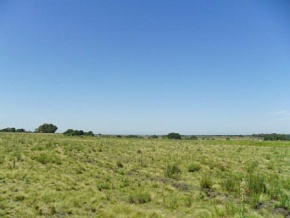 Chacra en venta en Colonia, Uruguay
