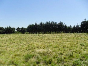 Chacra en venta en Colonia, Uruguay