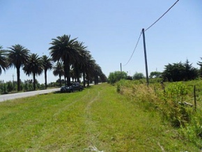 Chacra en venta en Colonia, Uruguay