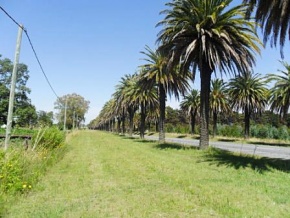 Chacra en venta en Colonia, Uruguay