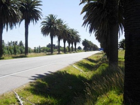 Chacra en venta en Colonia, Uruguay