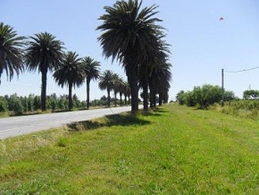 Chacra en venta en Colonia, Uruguay