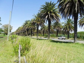 Chacra en venta en Colonia, Uruguay
