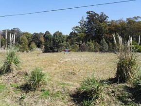 Lot for sale in Colonia, Uruguay